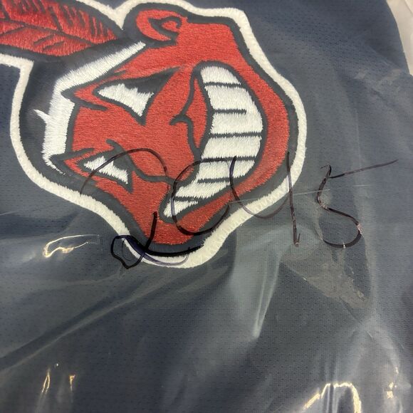 Vintage Majestic Cleveland Indians Jersey Mens L Blue Chief Wahoo Stitched Logo - Picture 9 of 9